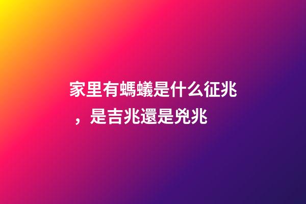 家里有螞蟻是什么征兆，是吉兆還是兇兆